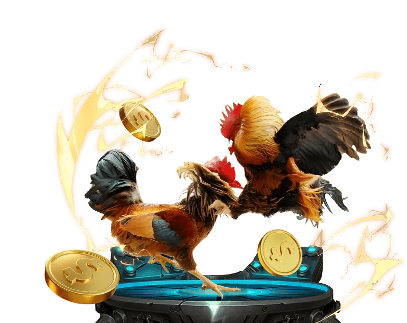 Các kênh liên hệ của KKWIN